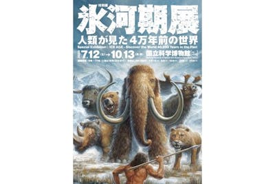 希少 氷河期マンモス標本標本