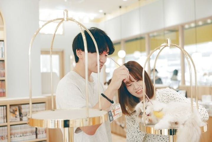 猫カフェモカ　イオンモール松本店