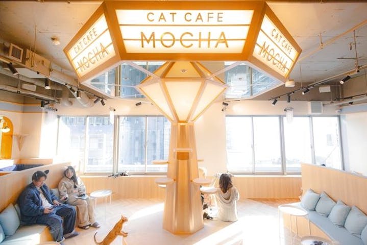 猫カフェモカ　吉祥寺店