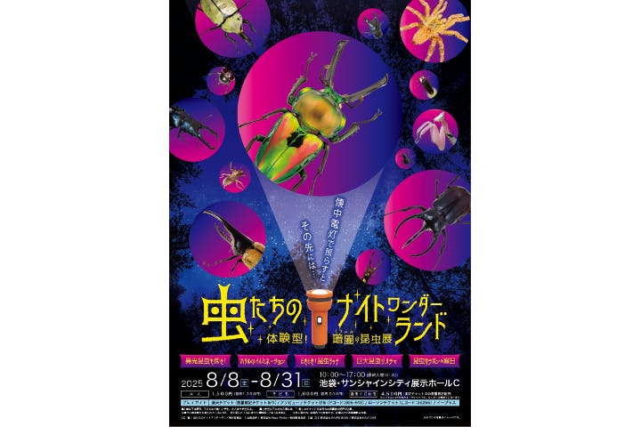 虫たちのナイトワンダーランド