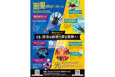 虫たちのナイトワンダーランド｜割引チケット・クーポンならアソビュー！