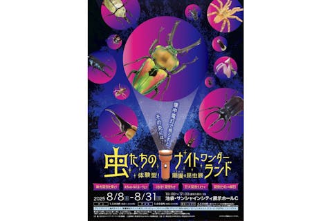 【前売券】虫たちのナイトワンダーランド