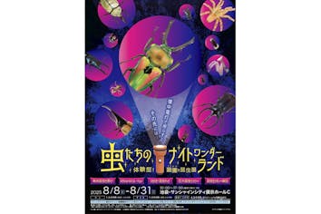 【希少】小林銅蟲ランド1 当日券】虫たちのナイトワンダーランド｜アソビュー！