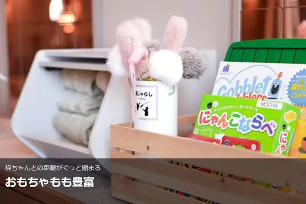 超特割！【平日限定・20％割引】猫カフェモカ 名古屋みなとアクルス店