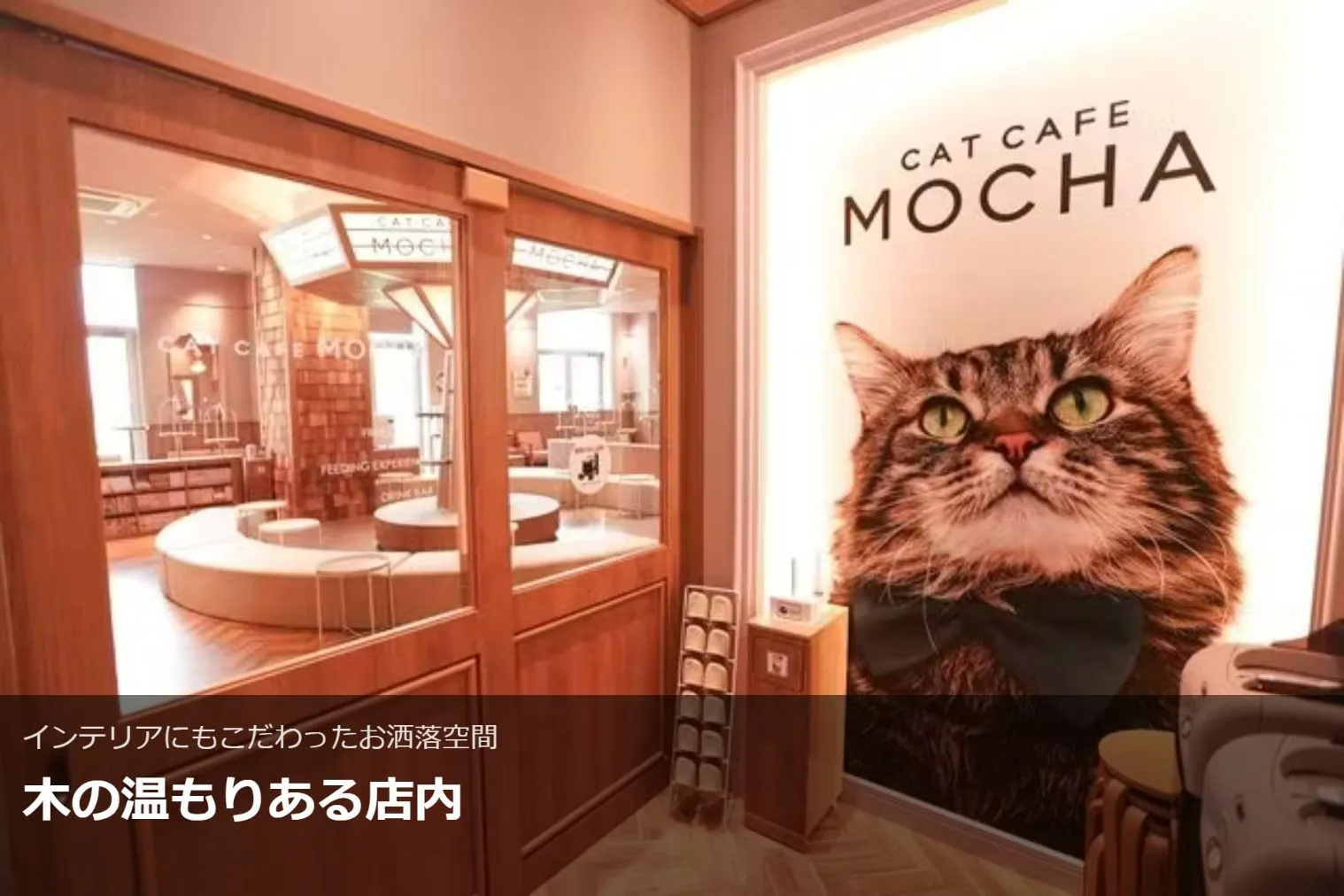 超特割！【平日限定・20％割引】猫カフェモカ 名古屋みなとアクルス店
