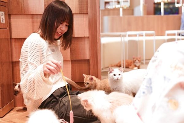 超特割！【平日限定・20％割引】猫カフェモカ 名古屋みなとアクルス店