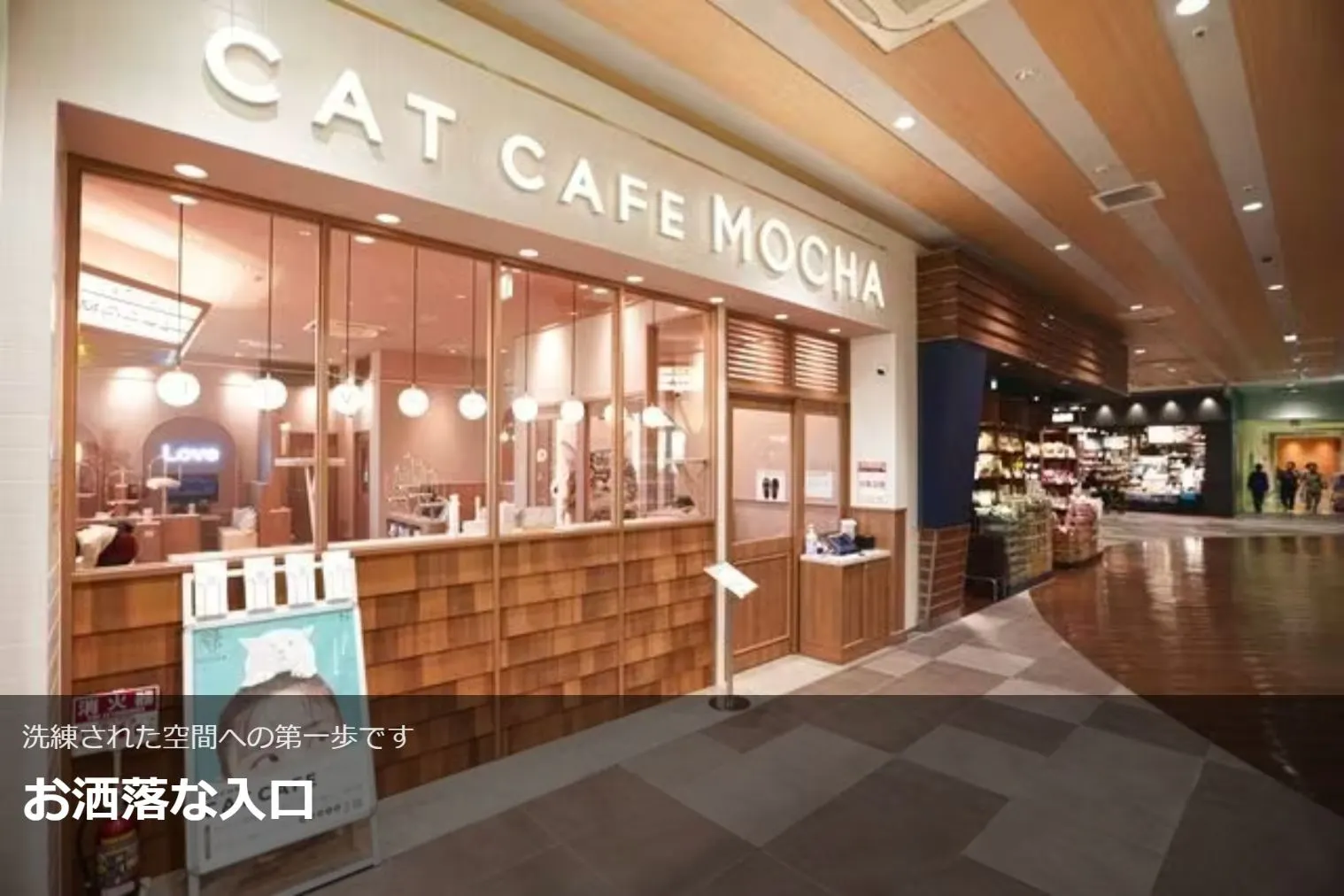 猫カフェ mocha いちご収穫祭 トレカ ららぽーと名古屋みなとアクルス