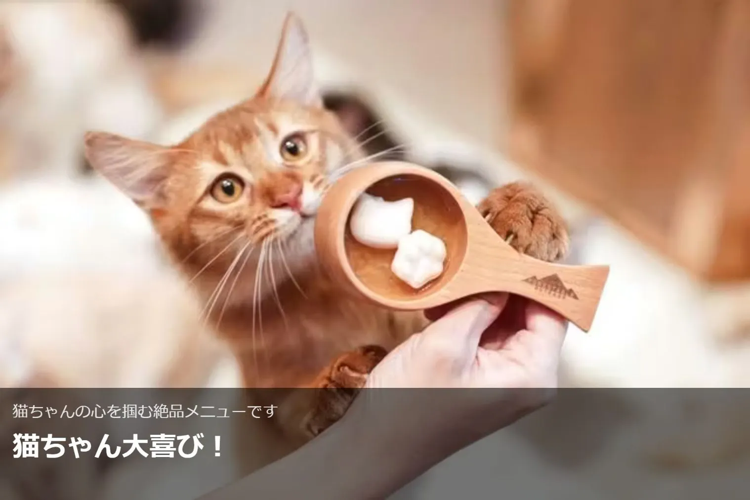 超特割！【20％割引】猫カフェモカ 名古屋みなとアクルス店 入場