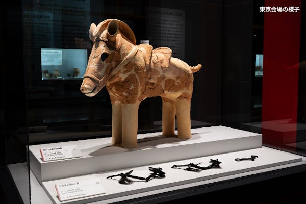 当日券】特別展「古代DNA－日本人のきた道－」@名古屋市科学館