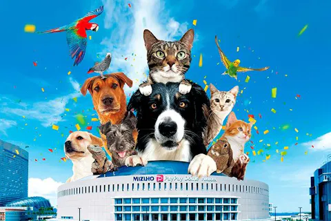 【当日券】Pet博2026 福岡