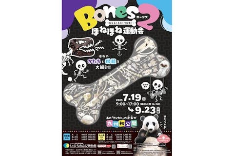 【前売／セット券（特別展＋常設展）】Bones2　ほねほね運動会　～はしる！とぶ！つかむ！～