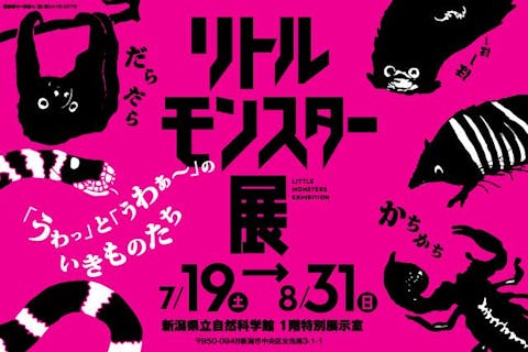 【当日・入館セット券】リトルモンスター展〜「うゎっ」と「ぅわぁ〜」のいきものたち〜