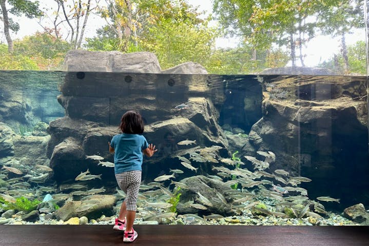 栃木県なかがわ水遊園