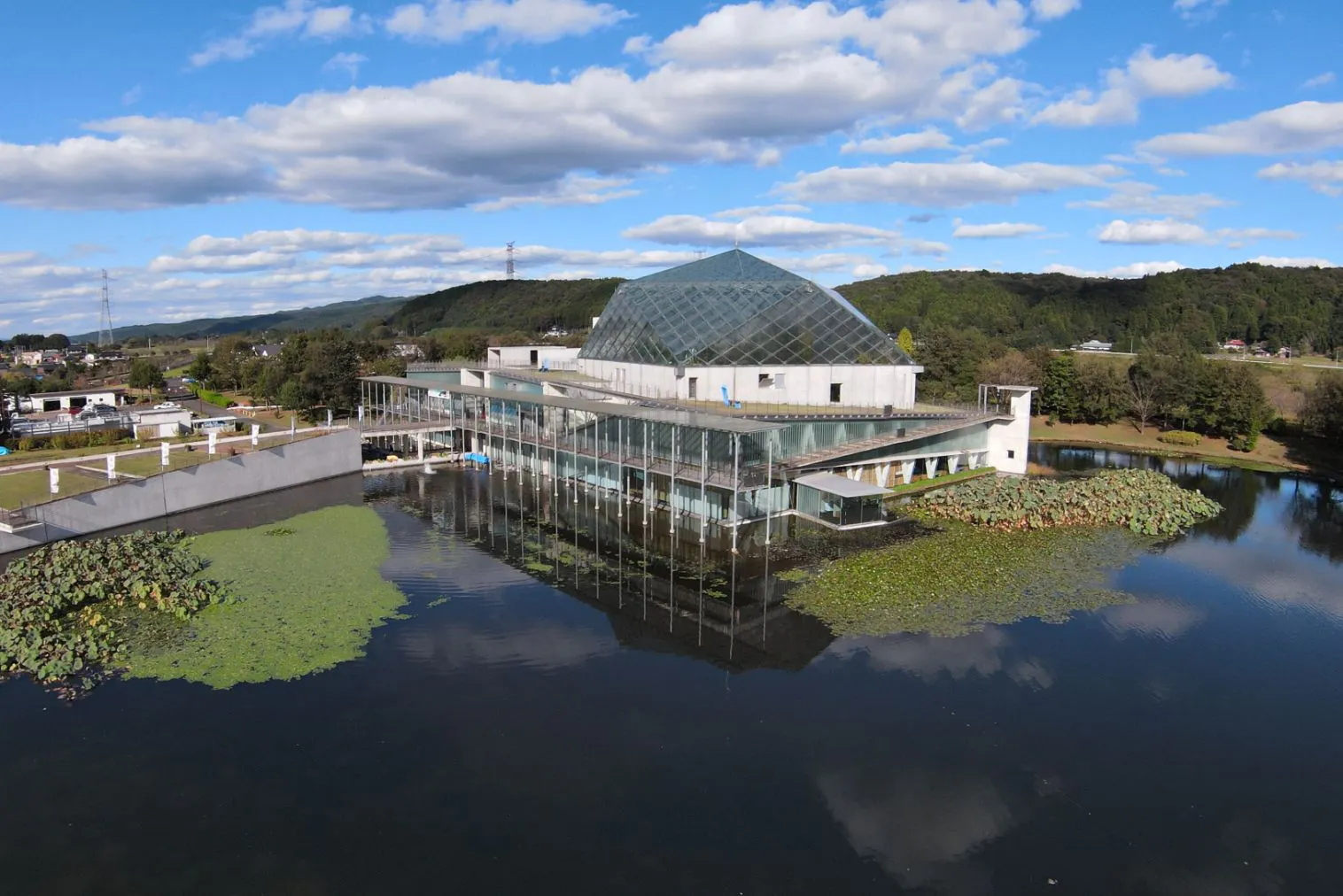 栃木 県 なかがわ 水 遊園 おもしろ 魚 館