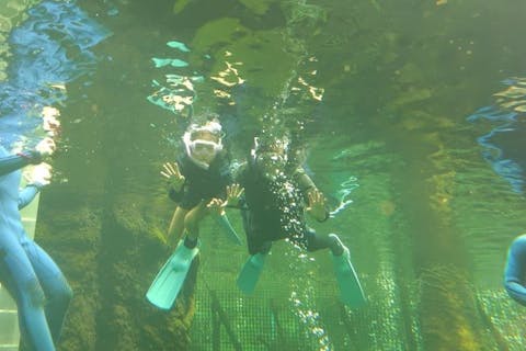 アマゾン大水槽　シュノーケリング体験　※6～55歳対象