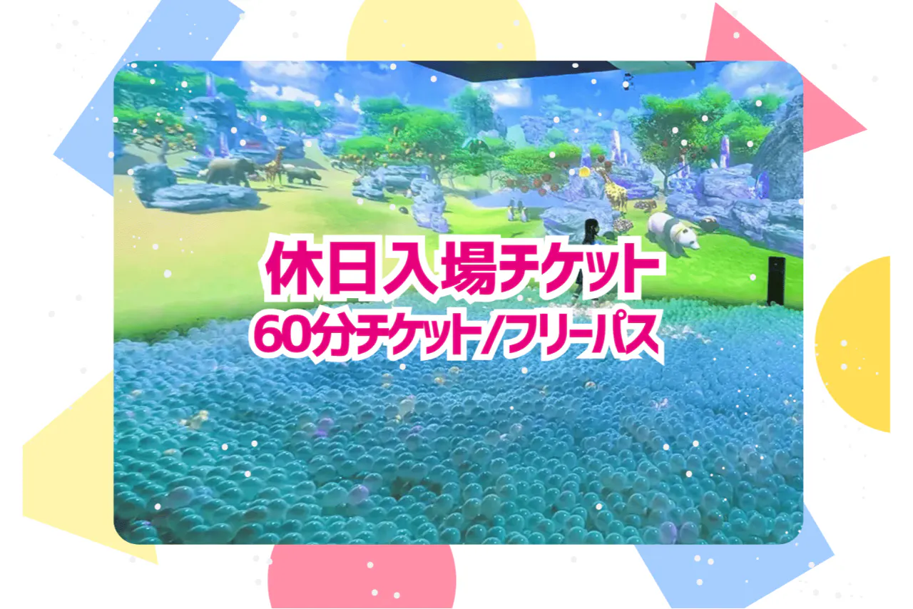 【休日】タカラトミープラネットららぽーと安城 入場チケット