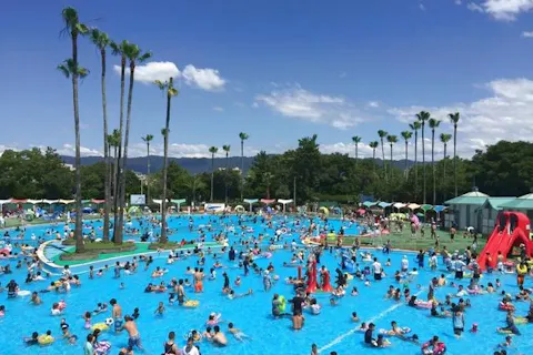 久宝寺緑地プールチケット 日時指定 入場券