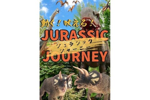 【最大500円割引！】ノルンみなかみ　1dayチケットで各アクテビティ 体験し放題！