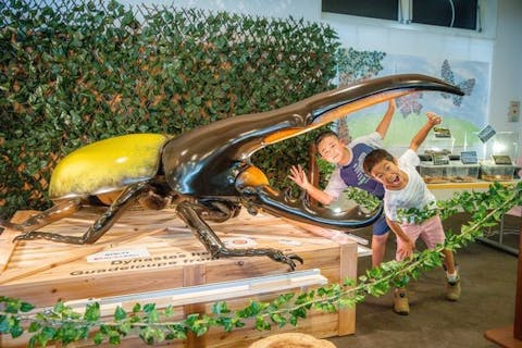 【100円割引！】ノルンみなかみ フラワーガーデン入園券