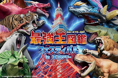 【前売券】最強王図鑑フェスティバル in 東京タワー