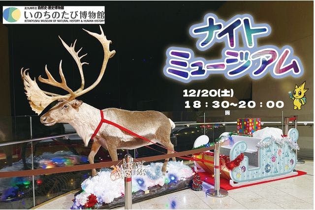 【12月20日(土)開催！】クリスマスナイトミュージアム　いのちのたび博物館