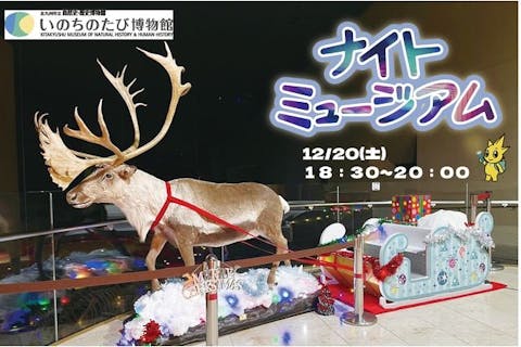 【12月20日(土)開催！】クリスマスナイトミュージアム　いのちのたび博物館