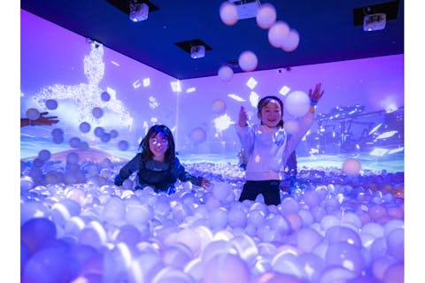 【初回限定】土日祝・最大300円引き！リトルプラネット ららぽーと立川立飛 フリーパス