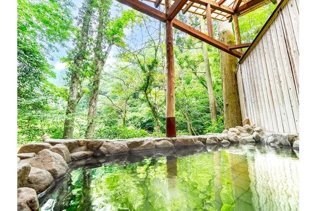 【100円割引】美人の湯/讃岐塩江温泉（入浴券）