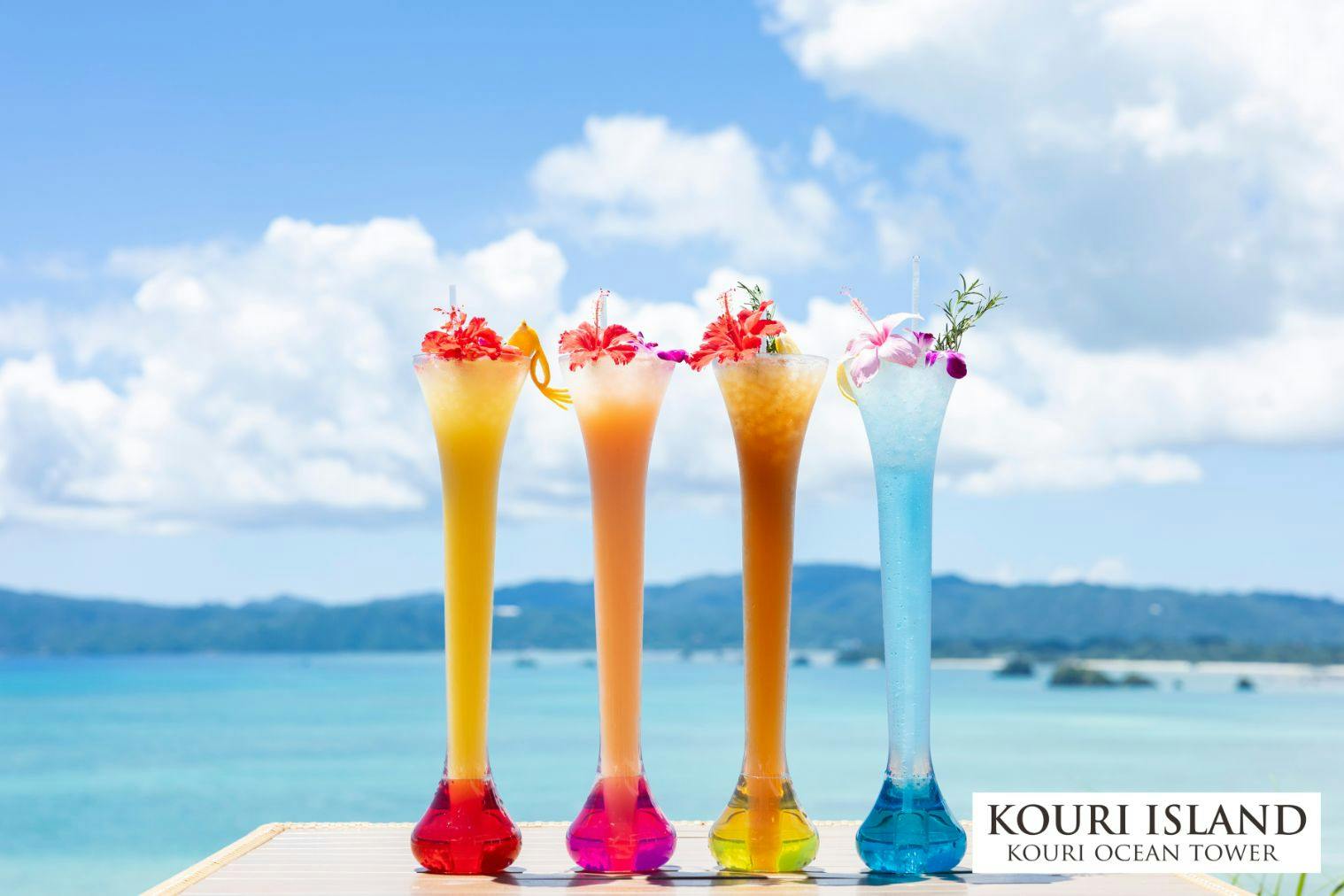 北部満喫セット券 JUNGLIA OKINAWA×古宇利オーシャンタワー - JUNGLIA