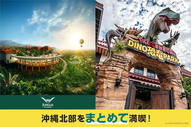 北部満喫セット券 JUNGLIA OKINAWA×御菓子御殿 名護店の恐竜PARK