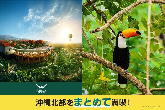 北部満喫セット券　JUNGLIA　OKINAWA×ネオパークオキナワ