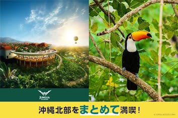 北部満喫セット券 JUNGLIA OKINAWA×ネオパークオキナワ｜アソビュー！