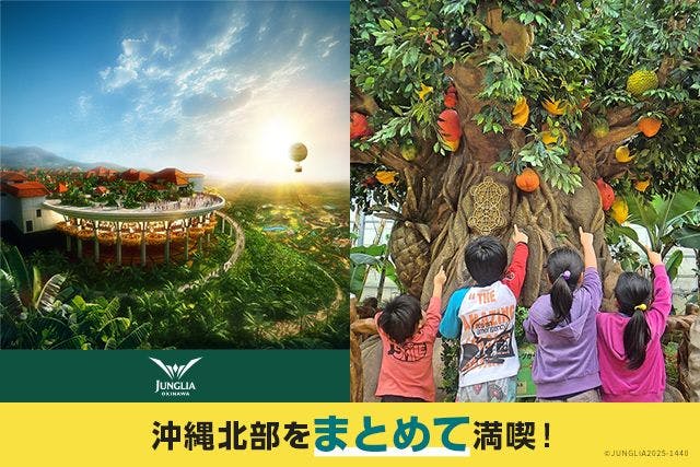 北部満喫セット券　JUNGLIA　OKINAWA×OKINAWAフルーツらんど