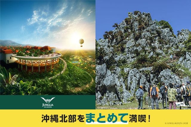 北部満喫セット券　JUNGLIA　OKINAWA×アスムイハイクス