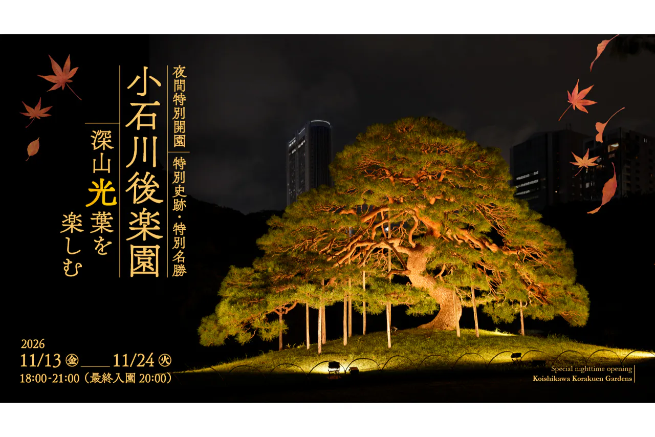【前売券】小石川後楽園 夜間特別開園「深山光葉を楽しむ」