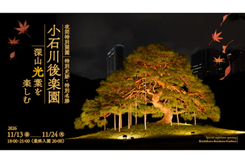 【前売券】小石川後楽園 夜間特別開園「深山光葉を楽しむ」