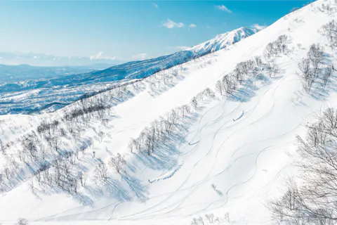 【500円割引】アライマウンテンリゾート　エコノミークラス1日券(スプリングシーズン)