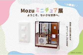 コレクション出品中★もきゅさま専用* 予約販売：2025年9月中 お届け予定】<公式限定初回予約特典付き
