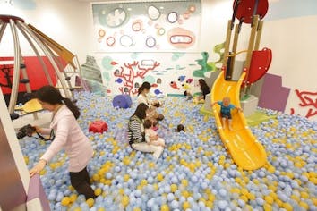 二児のパパ コクーン① Cocoon Swaddle Bag 1.0TOG コクーンスワドルバッグ（新生児～／スワドル）