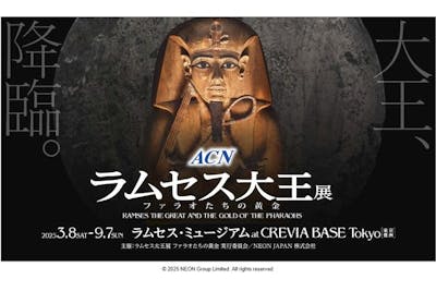 数量限定】「マチュピチュ展 x ラムセス大王展」コラボ入場券