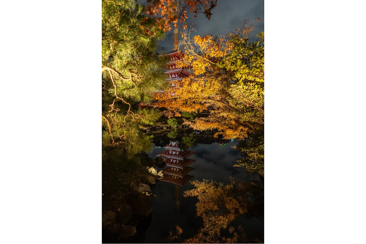 前売｜絵馬図録付き特別拝観チケット】ASAKUSA CULTURE & LIGHTS 2026