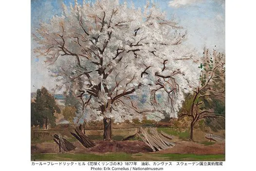 当日券】東京都美術館開館100周年記念 スウェーデン絵画展 北欧の光