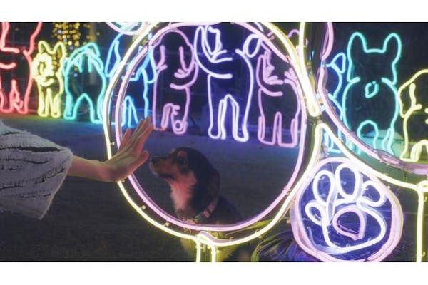 三田発着】バスで行こう！神戸イルミナージュ 15th anniversary