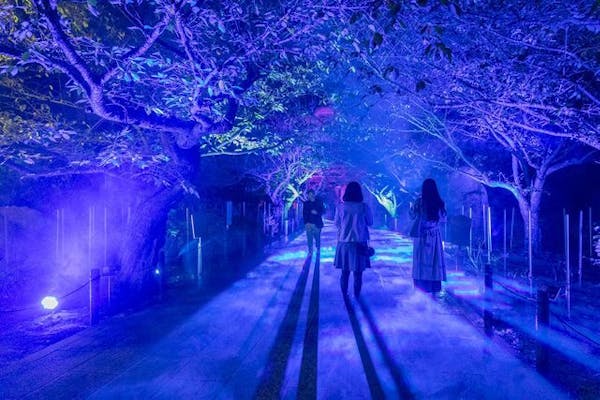 古民家ジオラマ 夜景ライト付き Nゲージ ジオラマ 「温泉街の風景