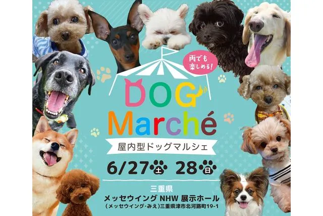 DOG Marche