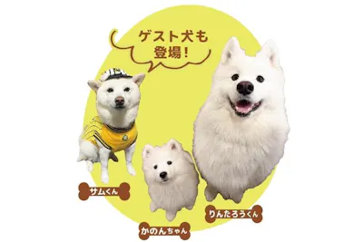 前売券】DOG Marchē 2026年6月27日～28日｜アソビュー！