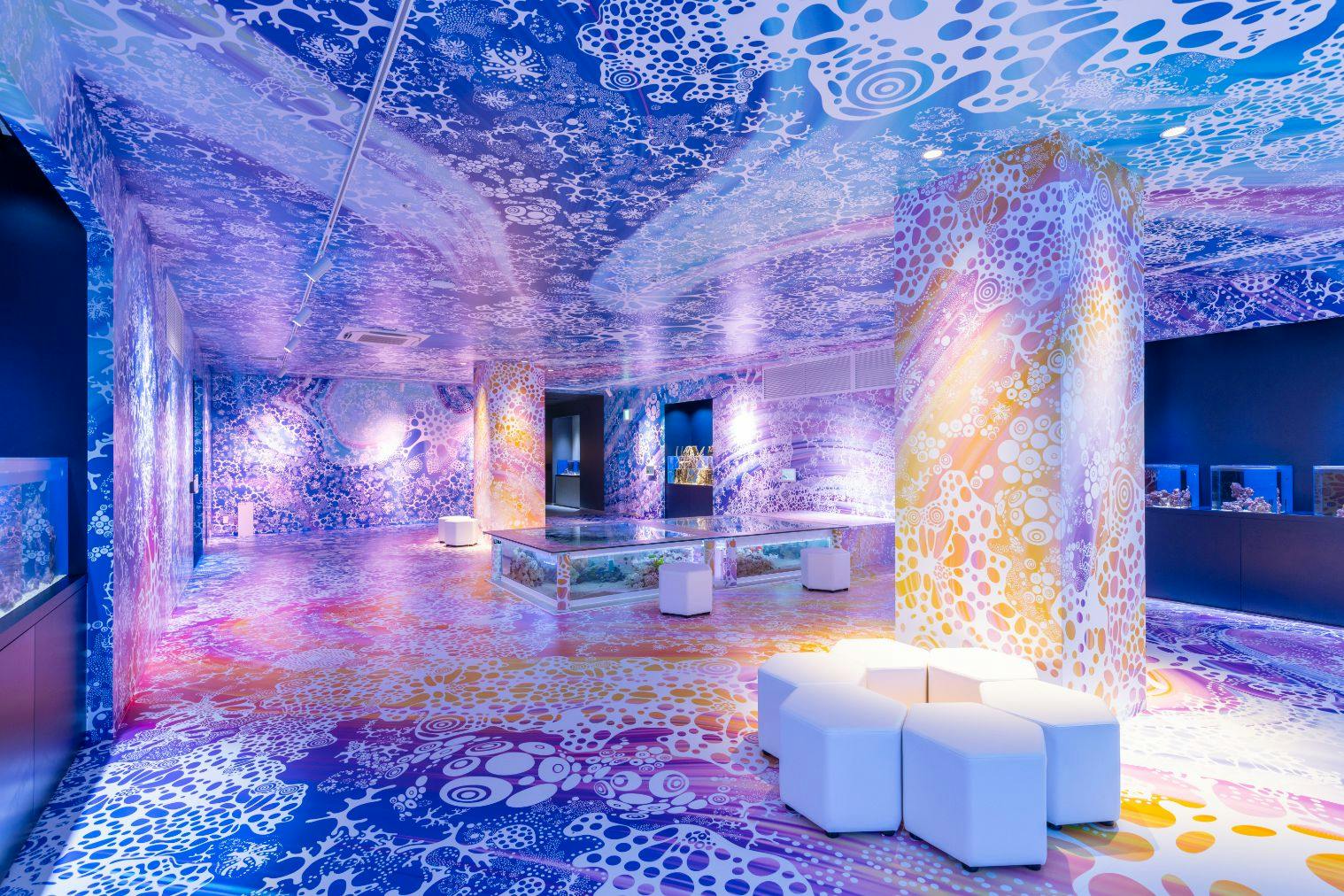 広島もとまち水族館　入場チケット　10/31グランドオープンの都市型水族館