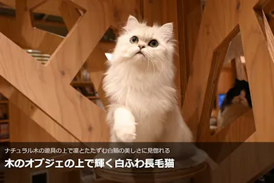 超特割！【平日限定・18%割引】猫カフェモカ 梅田 入場チケット（時間