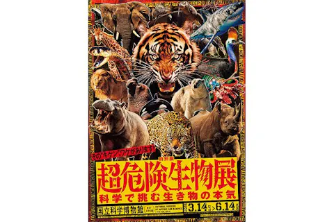 デュエル・マスターズコラボカードスリーブセット券｜アソビュー！