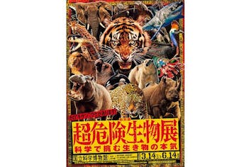 デュエル・マスターズコラボカードスリーブセット券｜アソビュー！